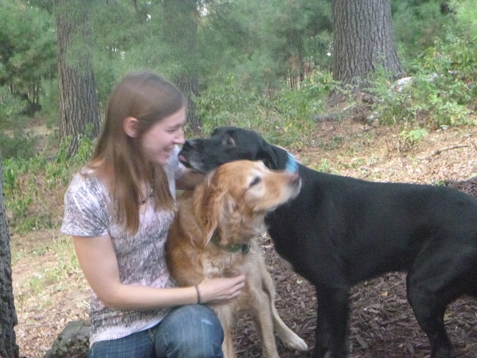 Golden retriever, black lab and woman for a group hug!