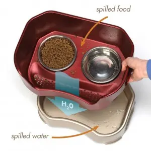 Neater Feeder dog bowl stops a dog from spilling food and water!