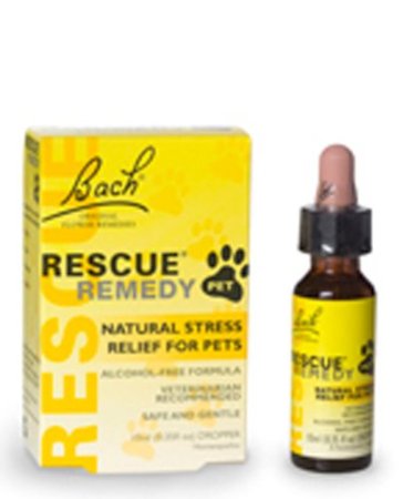 Rescue Remedy to keep dogs calm around fireworks and thunder