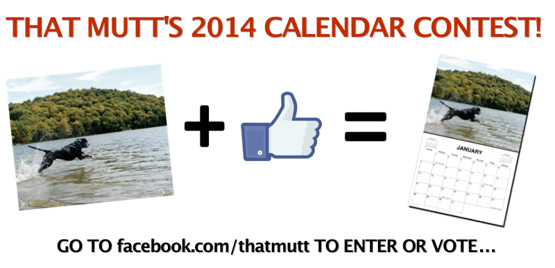 2014 mutt calendar contest on ThatMutt.com