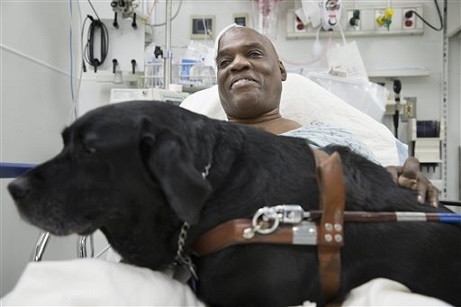 Guide dog saves owner from subway