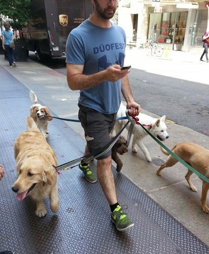 Walking five dogs and texting