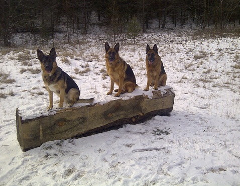 Three shepherds in the snow