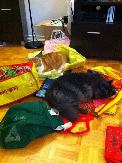 Cats napping on reusable bags