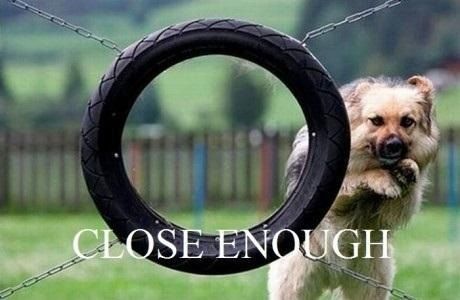 Dog misses agility tire