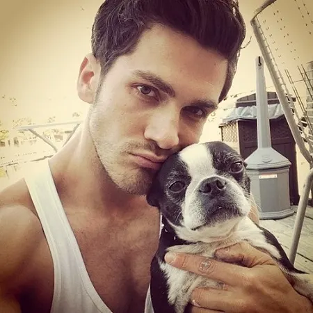 Who's cuter the guy or the Boston terrier puppy?