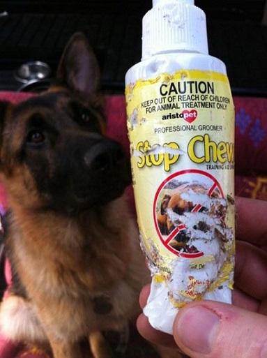 GDS chews anti-chew spray
