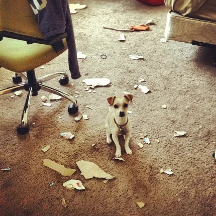 Chi mix ripped up the room