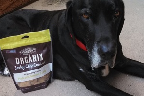 Black Lab with Organix dog treats