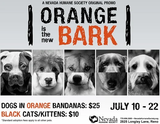 Orange is the New Bark Poster Nevada Humane Society