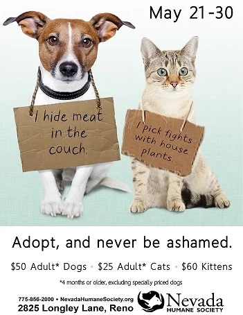 Pet Shaming Promotion Poster Nevada Humane Society