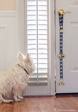 Dog with his PoochieBells dog doorbell