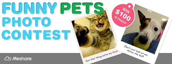 Funny Pets Photo Contest