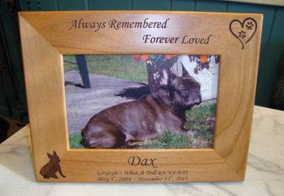 Frame of dog that passed away