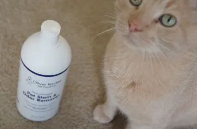 Pet stain remover for cats