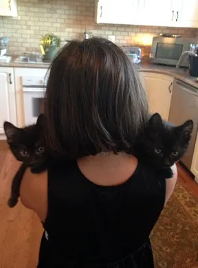 Woman holding two black cats
