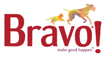 Bravo-logo-web