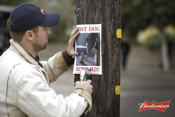 Budweiser ad Lost Dog Lab puppy
