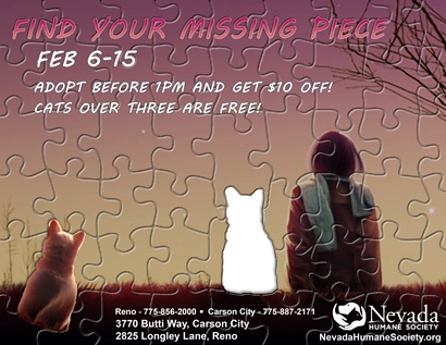 Missing Piece Poster 2-3-15 Final LG