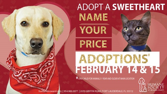 Valentine's Day adoption specials