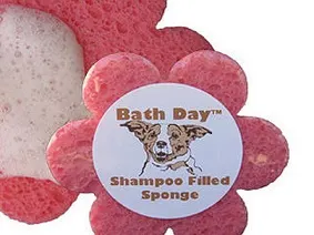 Shampoo filled sponge for dogs