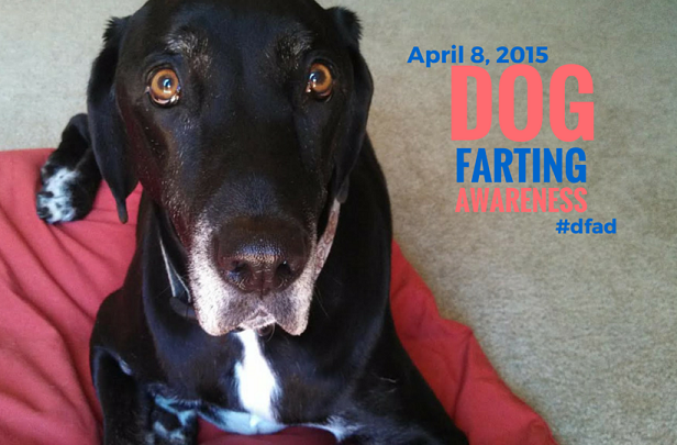 Dog Farting Awareness Day