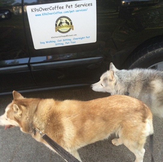 Huskies with K9s Over Coffee