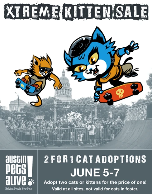 Austin Pets Alive cat adoption special