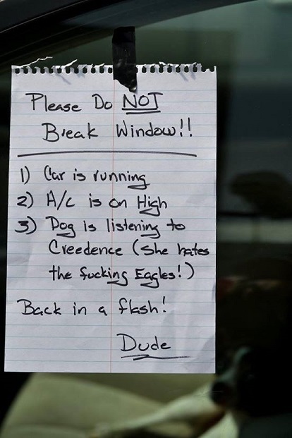 Please do not break windows Big Lebowski reference