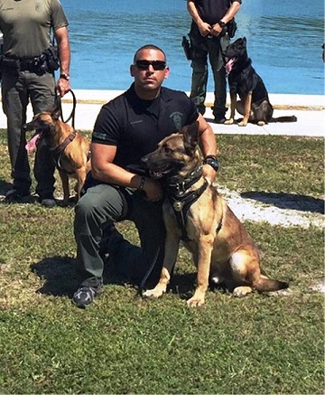 Police dogs die in car Florida