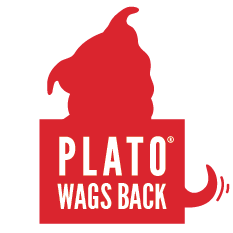 plato-wags-back