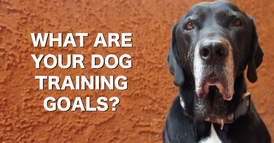 Dog training goals