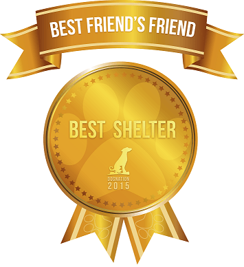 Best Friends Friend Contest