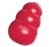 Kong toy