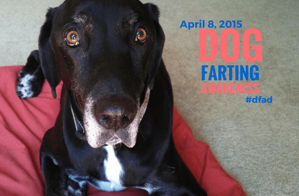 Dog Farting Awareness Day