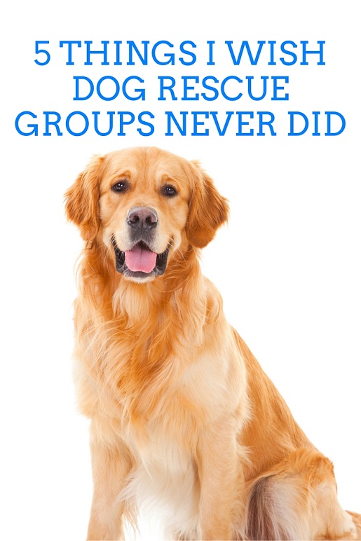 Dog rescue groups