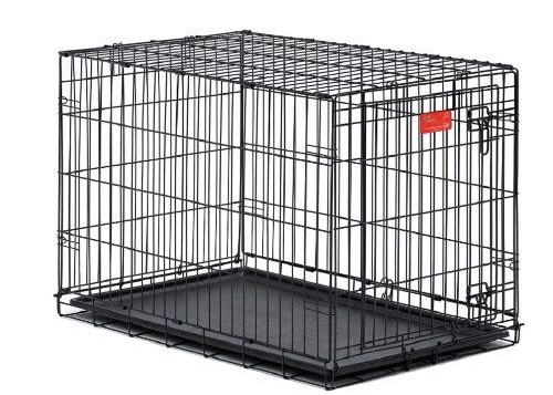 Fold up wire dog crate