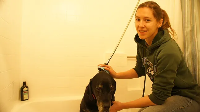 Ace getting a bath with MIU Pet Shower