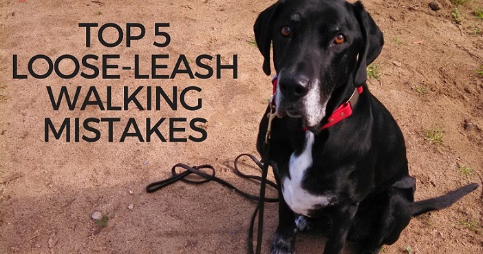 Top 5 Loose-Leash Walking Mistakes