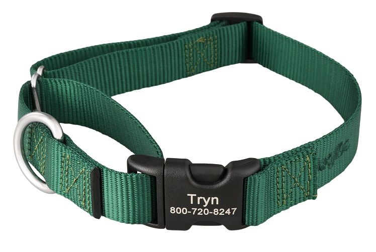 Martingale dog collars from dogIDs