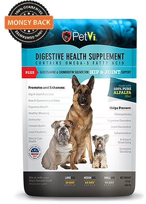 PetVi Health Supplement hip and joint