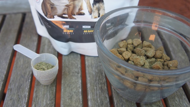 Should you give a dog supplements? PetVi Nutrition