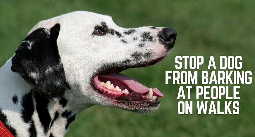 Stop a dog from barking at people on walks