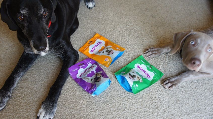 Ace and Remy love Droolers treats review