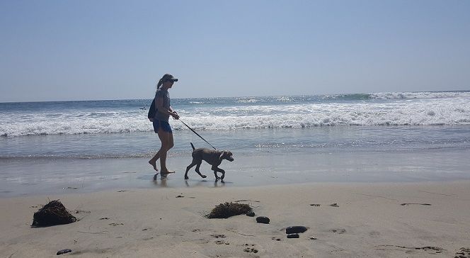 Me and my puppy Remy walking on the beach