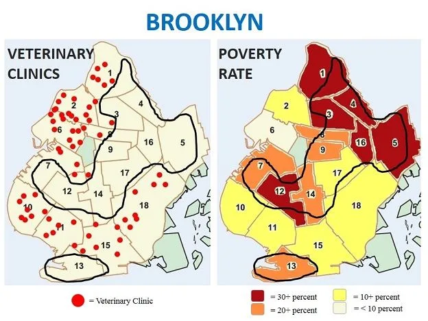 Brooklyn poverty rate vs. Brooklyn veterinary clinics