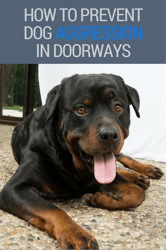 Preventing dog aggression in entryways