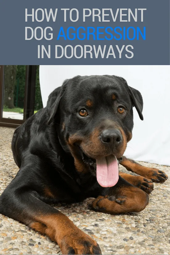 Preventing dog aggression in entryways