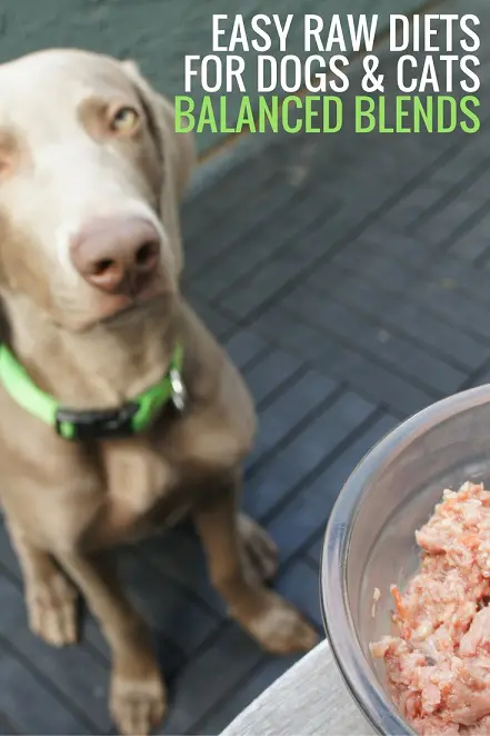 Convenient, easy raw diets for dogs from Balanced Blends