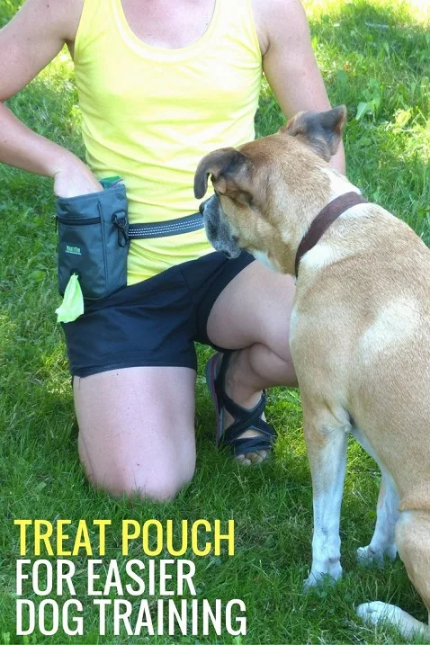 review-of-the-mighty-paw-treat-pouch
